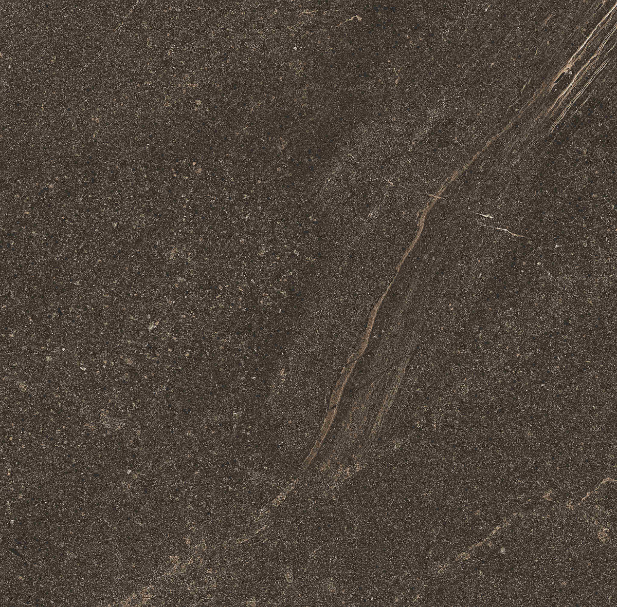 Плитка из керамогранита GB04 60x60x10 Непол.Рект. (Керамический гранит)