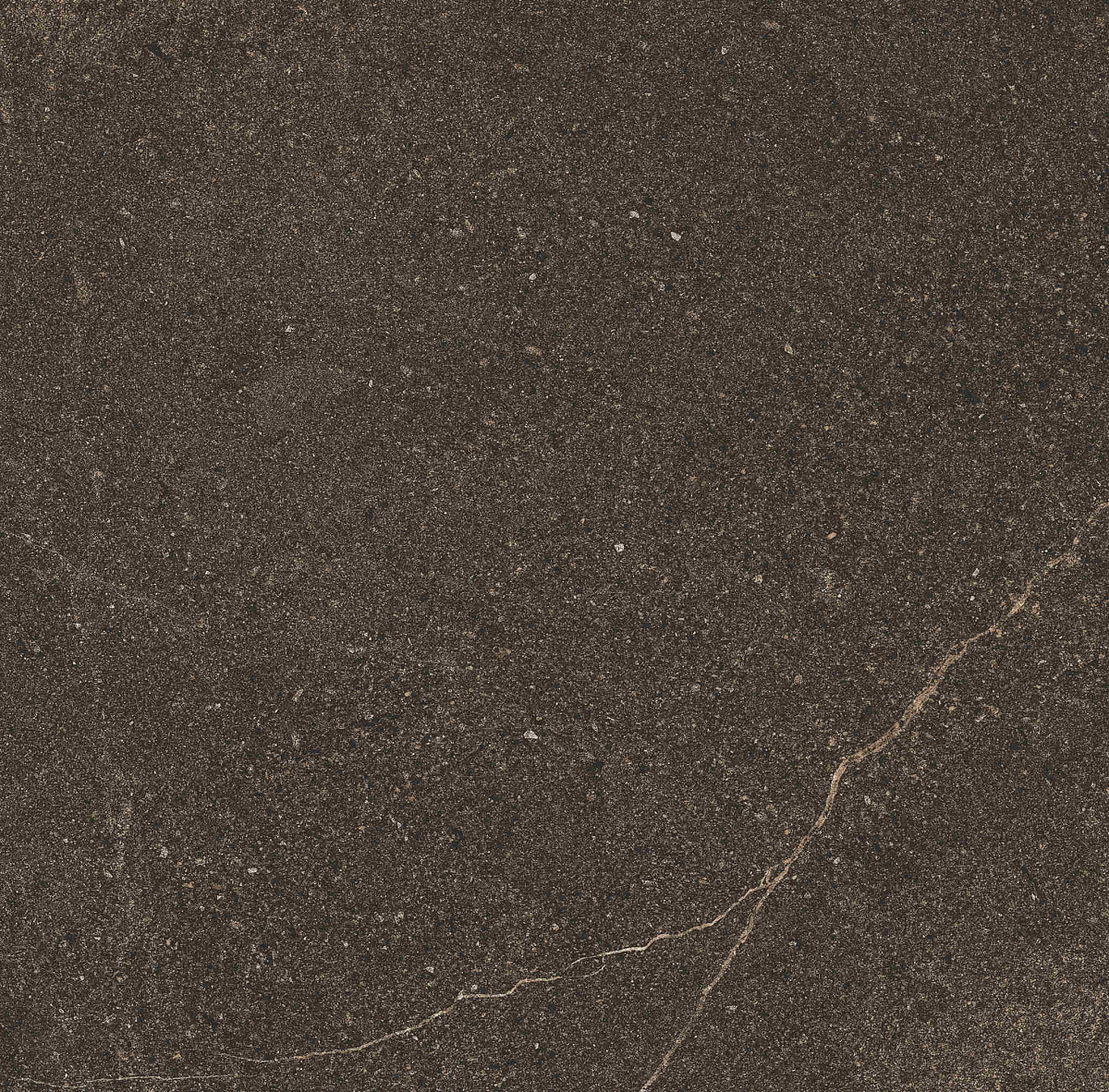 Плитка из керамогранита GB04 60x60x10 Непол.Рект. (Керамический гранит)