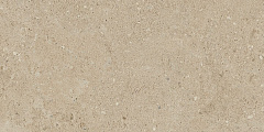 Плитка из керамогранита NP02 30,6x60,9x8 Непол. (Керамический гранит)