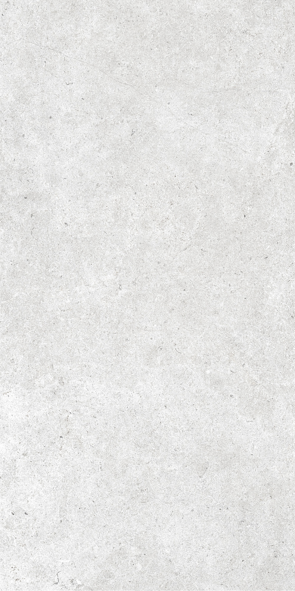 Монохром K-2060/MR/600x1200x10