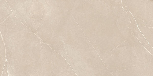 Плитка из керамогранита NL01 60x120x10 Непол.Рект. (Керамический гранит)