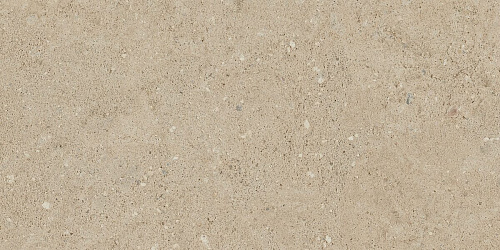 Плитка из керамогранита NP02 30,6x60,9x8 Непол. (Керамический гранит)