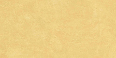 Плитка из керамогранита SR04 60x120х10 Непол.Рект. (Керамический гранит)