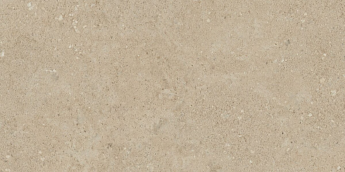 Плитка из керамогранита NP02 30,6x60,9x8 Непол. (Керамический гранит)