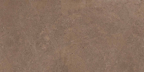 Плитка из керамогранита GO02 60x120x10 Непол.Рект. (Керамический гранит)
