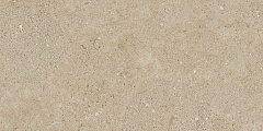 Плитка из керамогранита NP02 30,6x60,9x8 Непол. (Керамический гранит)