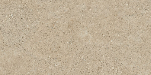 Плитка из керамогранита NP02 30,6x60,9x8 Непол. (Керамический гранит)