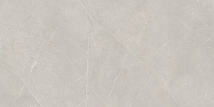Плитка из керамогранита NL02 60x120x10 Непол.Рект. (Керамический гранит)