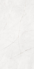 Плитка из керамогранита NL00 60x120x10 Полир. (Керамический гранит)