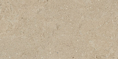 Плитка из керамогранита NP02 30,6x60,9x8 Непол. (Керамический гранит)