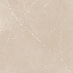 Плитка из керамогранита NL01 60x60x10 Полир. (Керамический гранит)