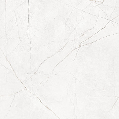 Плитка из керамогранита NL00 60x60x10 Непол.Рект. (Керамический гранит)