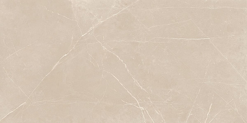 Плитка из керамогранита NL01 60x120x10 Непол.Рект. (Керамический гранит)