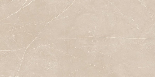 Плитка из керамогранита NL01 60x120x10 Непол.Рект. (Керамический гранит)