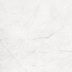 Плитка из керамогранита NL00 60x60x10 Непол.Рект. (Керамический гранит)