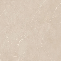Плитка из керамогранита NL01 60x60x10 Полир. (Керамический гранит)