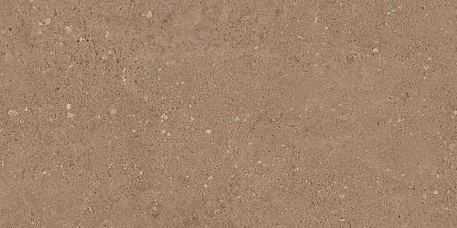 Плитка из керамогранита NP03 30,6x60,9x8 Непол. (Керамический гранит)