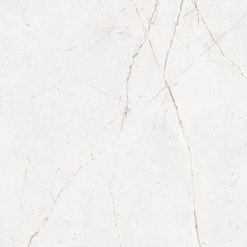 Плитка из керамогранита NL00 60x60x10 Полир. (Керамический гранит)