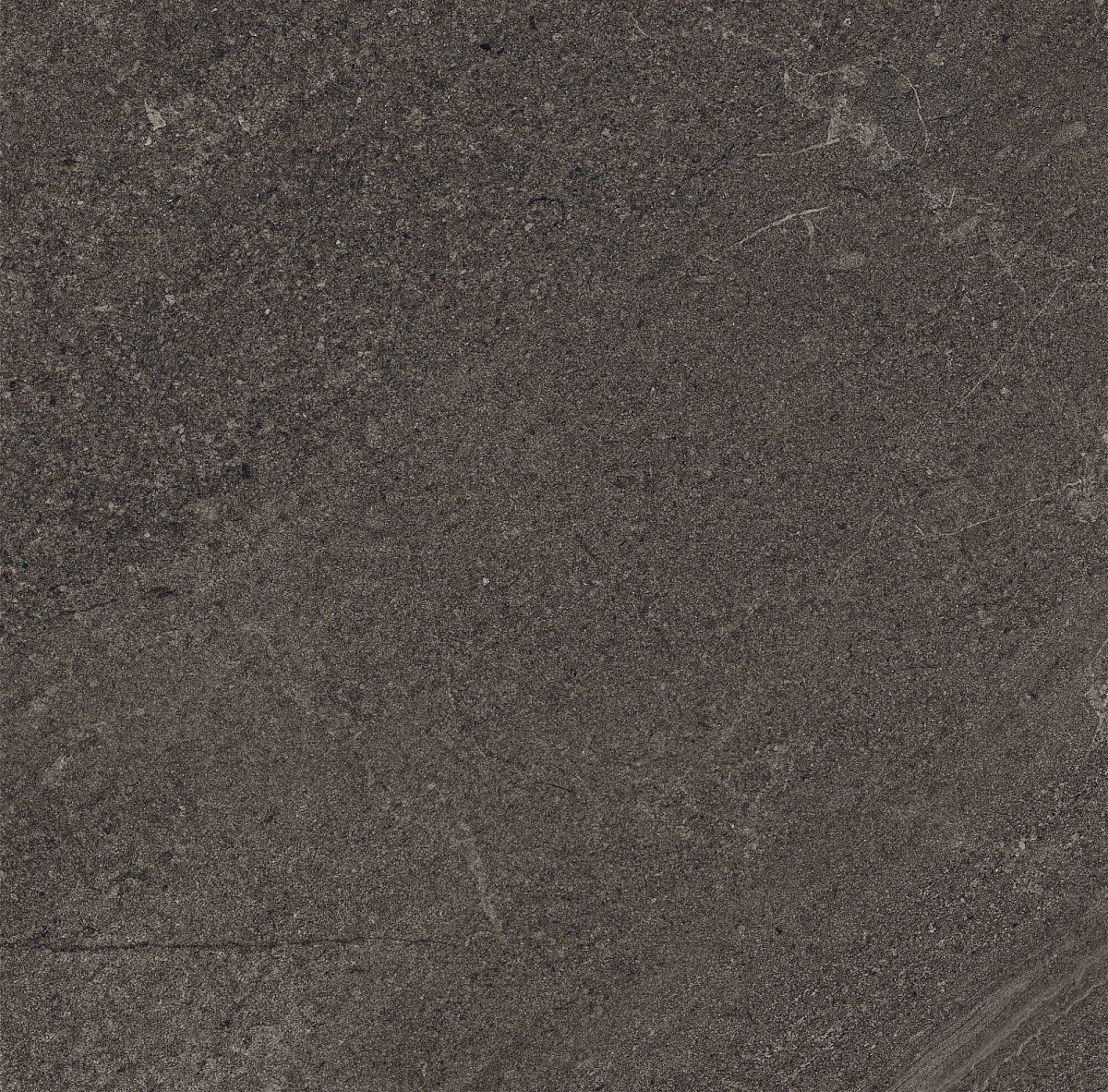 Плитка из керамогранита GB03 60x60x10 Непол.Рект. (Керамический гранит)