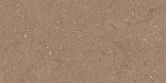Плитка из керамогранита NP03 30,6x60,9x8 Непол. (Керамический гранит)