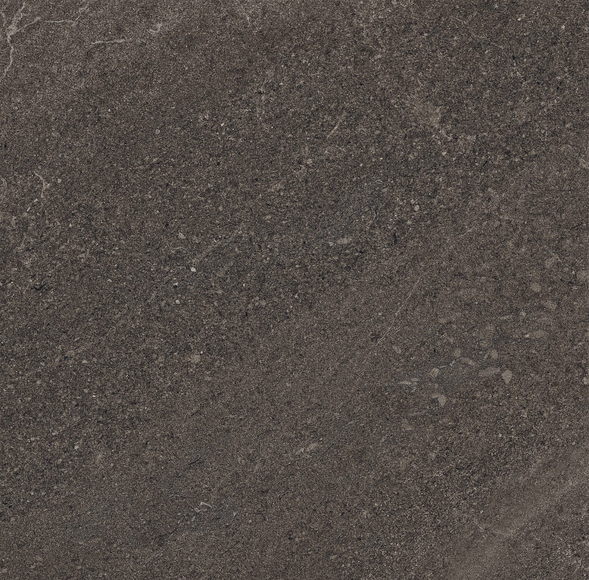 Плитка из керамогранита GB03 60x60x10 Непол.Рект. (Керамический гранит)