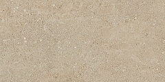 Плитка из керамогранита NP02 30,6x60,9x8 Непол. (Керамический гранит)