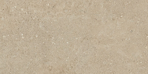 Плитка из керамогранита NP02 30,6x60,9x8 Непол. (Керамический гранит)