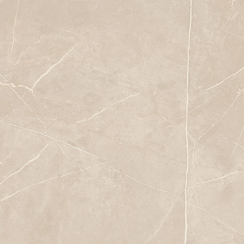 Плитка из керамогранита NL01 60x60x10 Полир. (Керамический гранит)