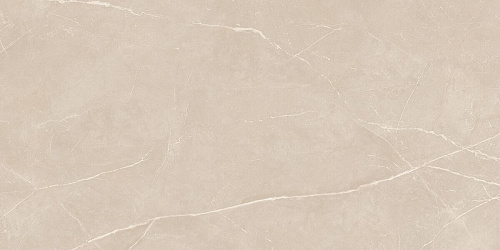 Плитка из керамогранита NL01 60x120x10 Непол.Рект. (Керамический гранит)