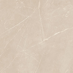 Плитка из керамогранита NL01 60x60x10 Полир. (Керамический гранит)