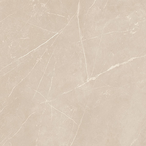 Плитка из керамогранита NL01 60x60x10 Полир. (Керамический гранит)