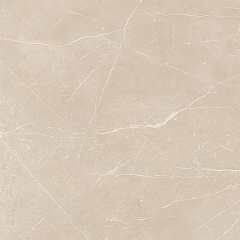 Плитка из керамогранита NL01 60x60x10 Полир. (Керамический гранит)