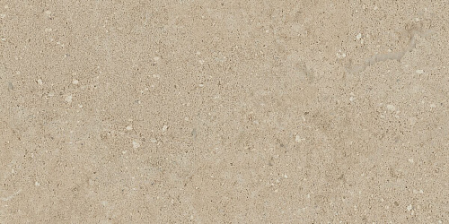 Плитка из керамогранита NP02 30,6x60,9x8 Непол. (Керамический гранит)