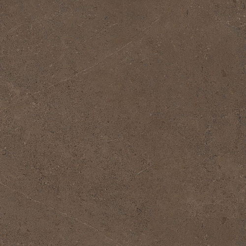 Плитка из керамогранита GO03 60x60 Непол.Рект. (Керамический гранит)