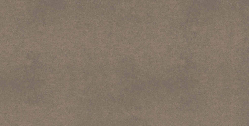 Плитка из керамогранита CA04 60x120x10 Непол.Рект. (Керамический гранит)