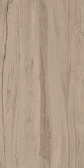 Аллея K-2103/SR/600x1200x10