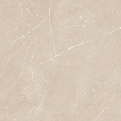 Плитка из керамогранита NL01 60x60x10 Полир. (Керамический гранит)