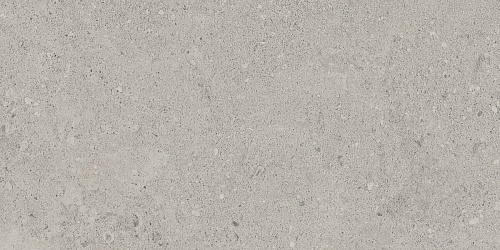 Плитка из керамогранита NP01 30,6x60,9x8 Непол. (Керамический гранит)
