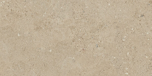 Плитка из керамогранита NP02 30,6x60,9x8 Непол. (Керамический гранит)